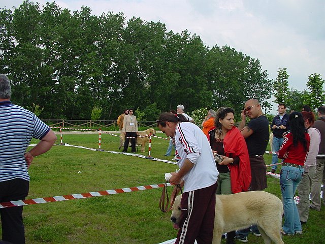 Immagine 013.jpg